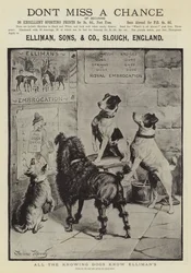 Advertentie, Elliman